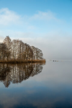 Misty morning, a calm dreamy scene. Trees and lake, nature photography taken in February. Swedish winter landscape.