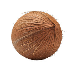 Whole brown coconut with fibrous husk isolated image