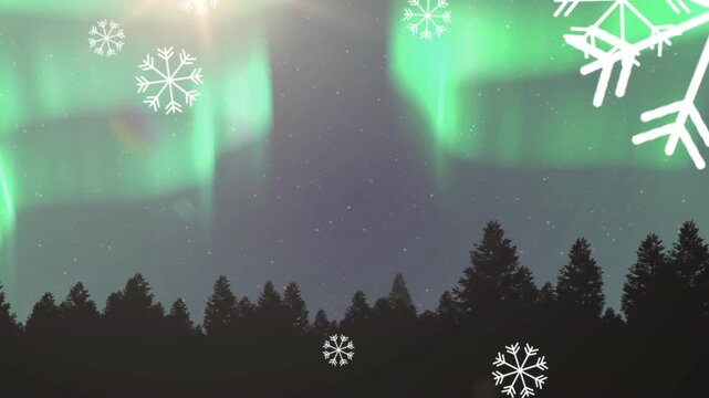 After pause snowflakes falling creating winter scene under shifting aurora above pine silhouette