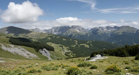 Naklejka premium view of the alps