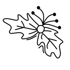 hollyberry fruit outline