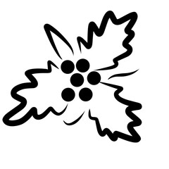 hollyberry fruit outline