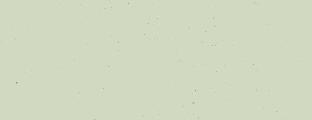 A minimalist background, pale green background with subtle speckled texture. The background is soft and calming, featuring green twice. Minimal grainy speckled texture background vector
