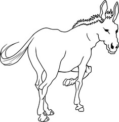 donkey line vector illustration isolated on white background