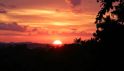 Fototapeta premium Colorful Evening Glow Glow Falling On Forest