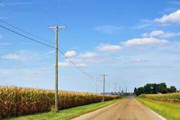 An empty, unpaved country road splices between cornfields as it leads to a distant and rare hill at the horizon in north central Illinois. 