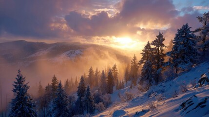 winter sunrise over snowy mountain forest,