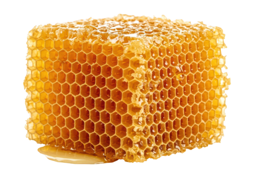 Fresh honeycomb with dripping golden nectar on a black background.