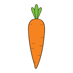 A bright orange carrot with leafy green tops, crunchy and sweet, perfect for snacking, cooking, or coloring. Simple, healthy, and fun for kids to enjoy!
