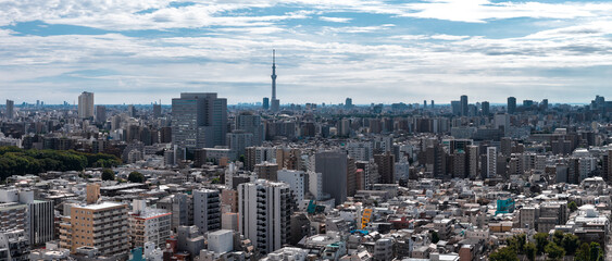 Naklejka premium Aerial daytime panorama of Tokyo with Tokyo Skytree centered