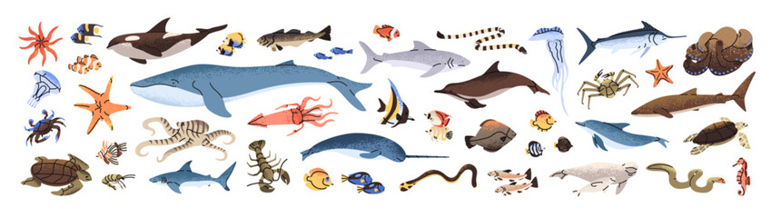 Set of sea life. Animals of the ocean. Underwater fauna. Undersea wildlife. Different fish, shark, turtle, squid and crab. Seabed creatures. Flat isolated vector illustrations on white background.
