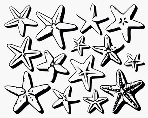 Collection of hand drawn starfish illustrations on a white background