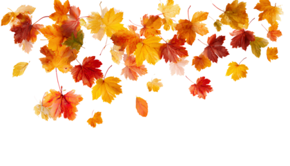 PNG autumn border with falling leaves