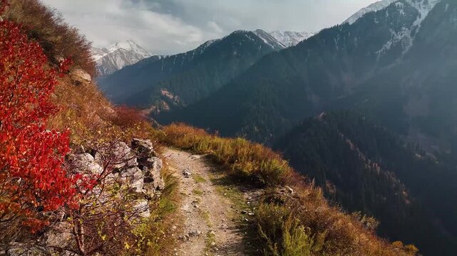 Aerial view panorama of yellow autumn forest in Almaty