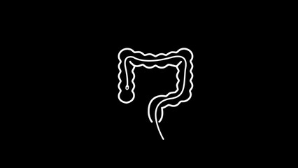 White outline of human intestines on a black background anatomy digestive system
