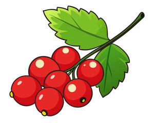 bunch of red currants