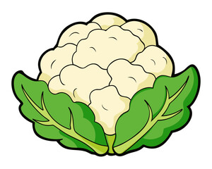heart of cabbage