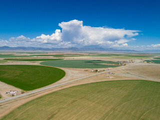 Spring Crop Circles in Colorado
