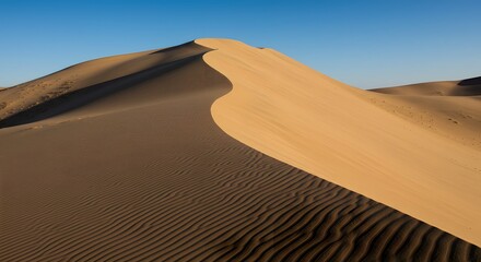The majestic sweep of a dune's slip face.