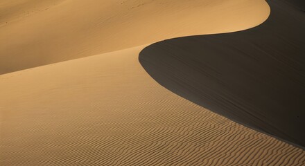 The majestic sweep of a dune's slip face.
