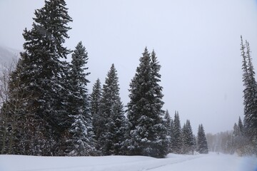 Rural Colorado during a blizzard