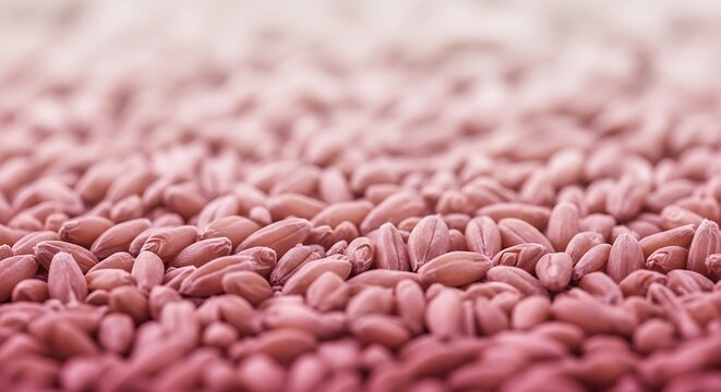 Close up of pink grains with shallow depth of field