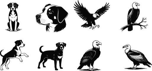 Black and white animal illustrations, dogs and birds of prey, eagle, vulture, sitting dog, flying bird, wildlife sketch, vintage ink drawing