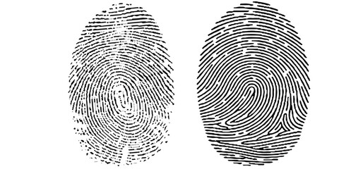 Group of Finger Print on white Paper. Black and White