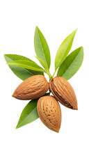 Three almonds with leaves isolated on transparent background