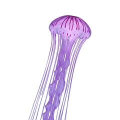 Fototapeta premium Luminous purple jellyfish drifts through dark water.