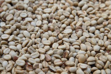 Close-up of raw green coffee beans before roasting, natural texture and organic farming concept for specialty coffee production and agriculture background. coffee industry.