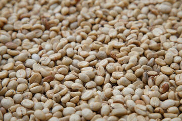 Close-up of raw green coffee beans before roasting, natural texture and organic farming concept for specialty coffee production and agriculture background. coffee industry.