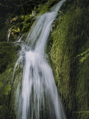 Obraz premium Soft waterfall flows over moss-covered rocks amid lush vegetation in the tranquil forest of Plitvice Lakes National Park, Croatia.