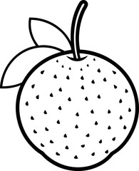 Black and White Lychee Outline Drawing with Leaf for Tropical Fruit Illustration