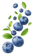 Fresh blueberries with green leaves flying and isolated on transparent background