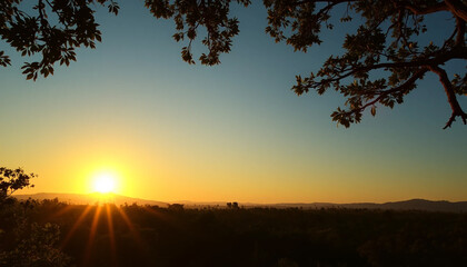Golden sunset shining bright over wild jungle