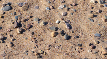 A close-up of a sandy beach ground surface scattered with colorful pebbles