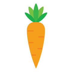 Bright orange carrot with green leaves isolated on white background