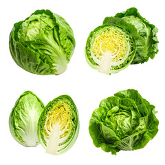 Fototapeta premium A collection of fresh green lettuce heads, shown whole and sliced in half, isolated on a clean white background.