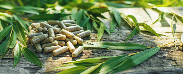White willow supplements and extract. Selective focus. © yanadjan