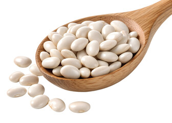 white bean isolated on transparent white background clipping path