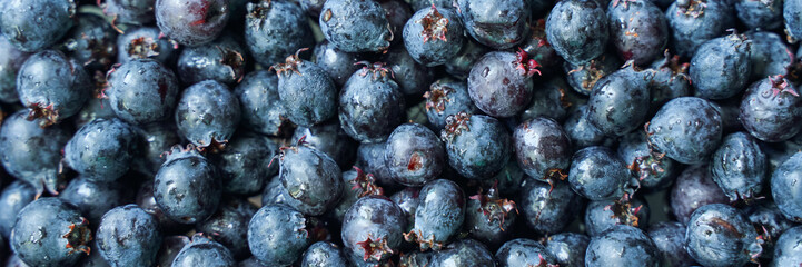 Fresh blueberries close-up: a vibrant display of plump, juicy berries for healthy eating and delicious recipes.