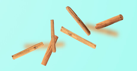 Ceylon Cinnamon Isolated, Cinnamomum Verum Bark, Zeylanicum, Real Original Cinnamon Sticks