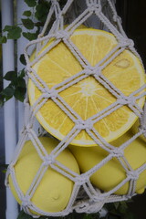 Several lemons hang in a woven macrame bag, with a slice on top.