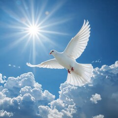 Illustration of white dove flying in the sky with sun and clouds in the background