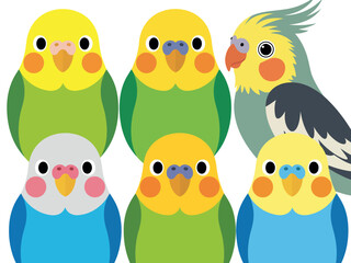Cute cartoon budgies and cockatiel group illustration