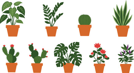 Terracotta potted plants collection, flowering cactus, Monstera, foliage variety, botanical houseplants, indoor garden icons, vector plant illustration set
