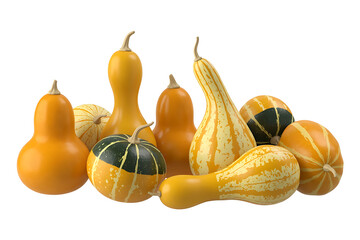 Assorted gourds and pumpkins in various shapes and colors, showcasing autumnal harvest beauty.