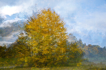 Fototapeta premium ICM of a colorful tree in yellow foliage in the forest