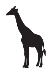 Fototapeta premium Silhouette of a standing giraffe with a long neck and distinctive leg shape in a side profile view.